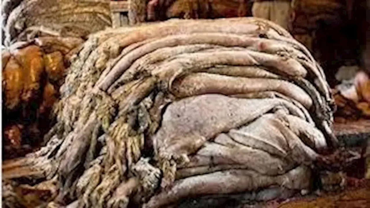 عيد الأضحى يعزز إنتاج الجلود بنسبة 20% في غرفة الدباغة